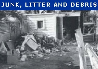 Junk, litter and debris code violation
